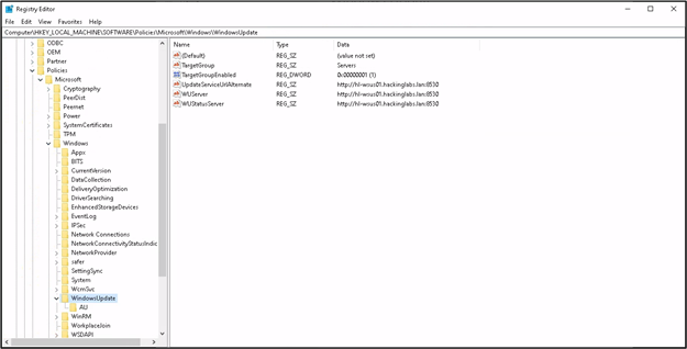 A screenshot of the Windows registry where WSUS is configured